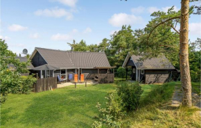 Amazing Home In Skjern With Wifi